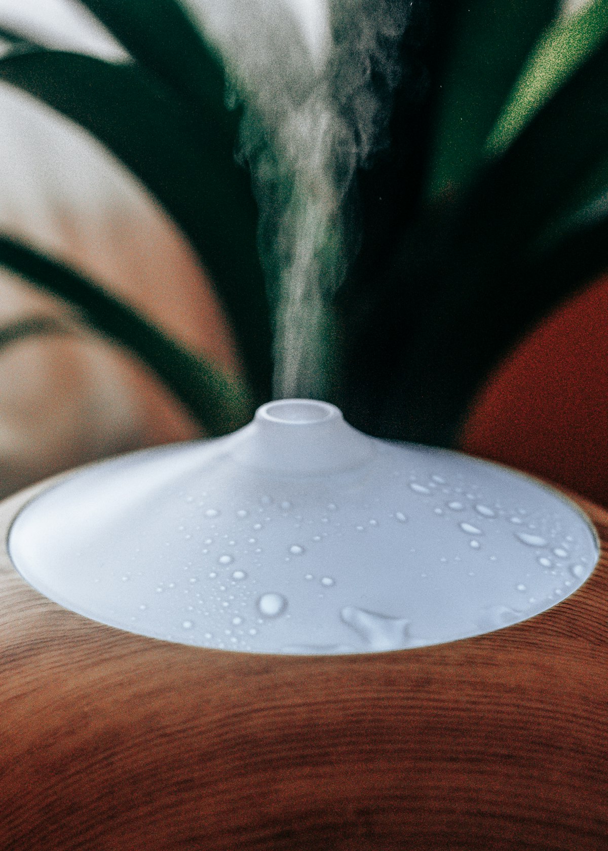 A small humidifier releasing mist in front of a houseplant leaves