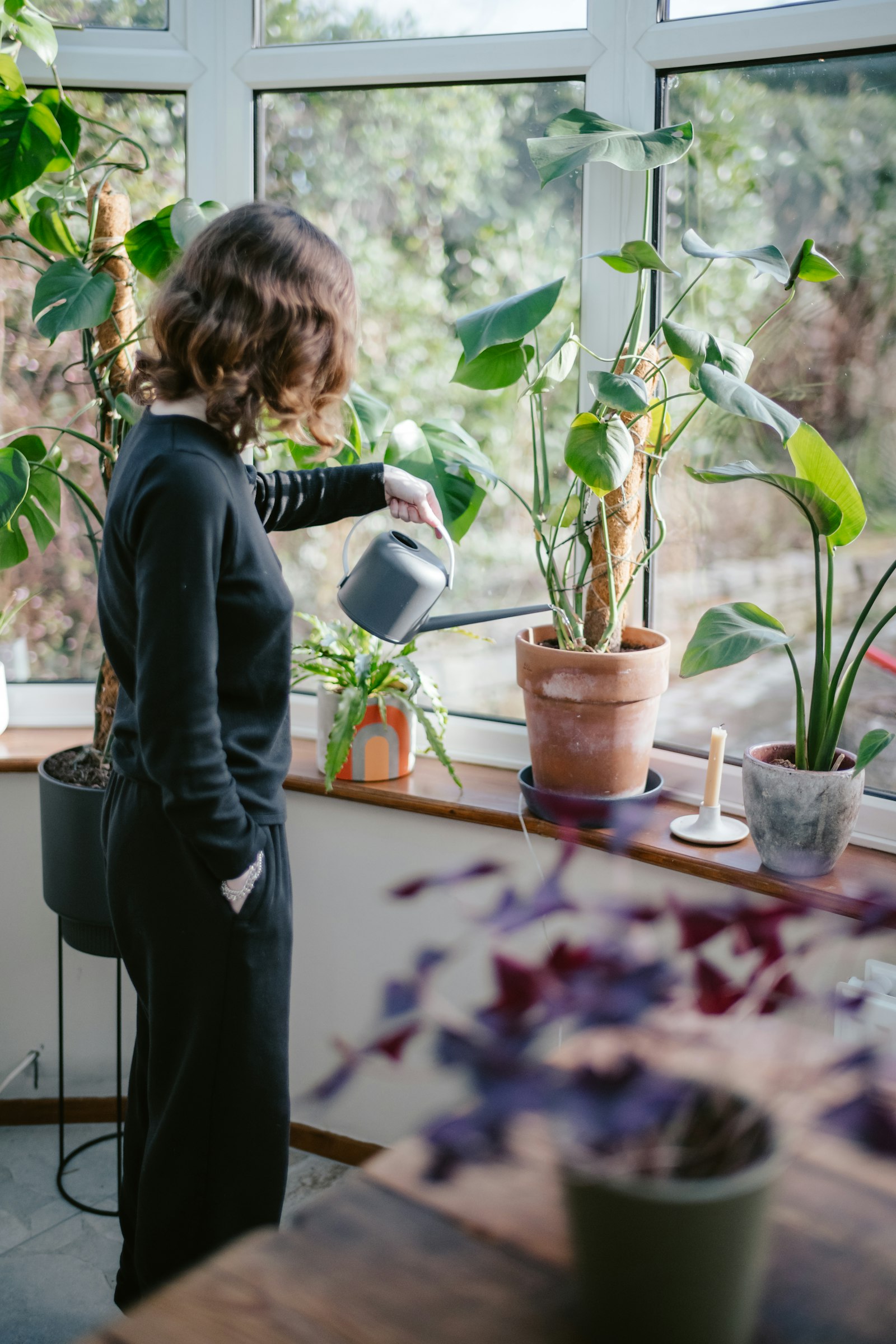 A person watering houseplants on a windowsill